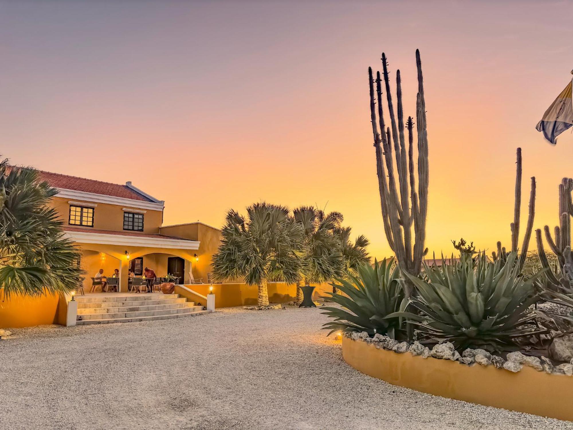 Boutique Hotel Wanapa - Adult Friendly - 14 Years And Older Playa Eksteriør billede