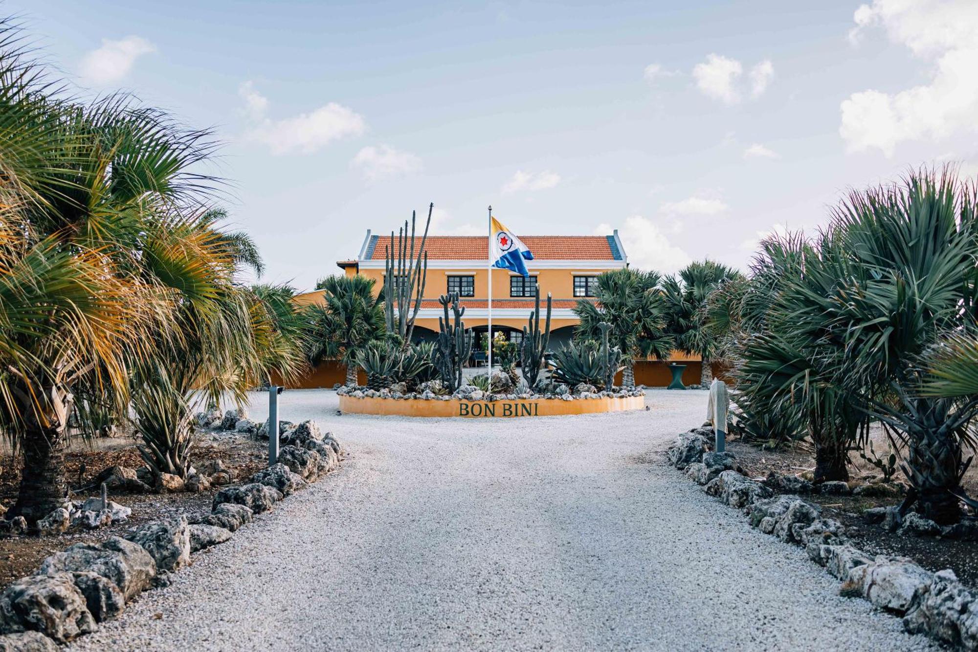 Boutique Hotel Wanapa - Adult Friendly - 14 Years And Older Playa Eksteriør billede